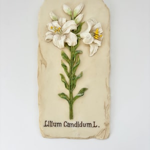 May include: A rectangular, off-white plaque featuring a 3D relief of white lilies with yellow centers and green stems and leaves. The plaque has the text "Lilium Candidum L." at the bottom.