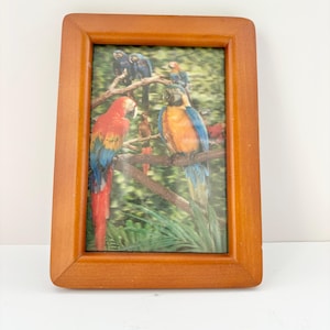 May include: A framed print featuring colorful parrots perched on branches. The parrots display vibrant red, blue, and yellow plumage against a backdrop of green foliage. The frame is made of light brown wood.