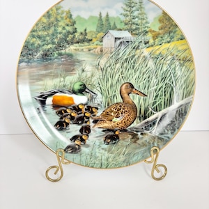 The Northern Shoveler Bart Jerner's Collectable Decorative Duck Plate