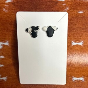 Cow Studs