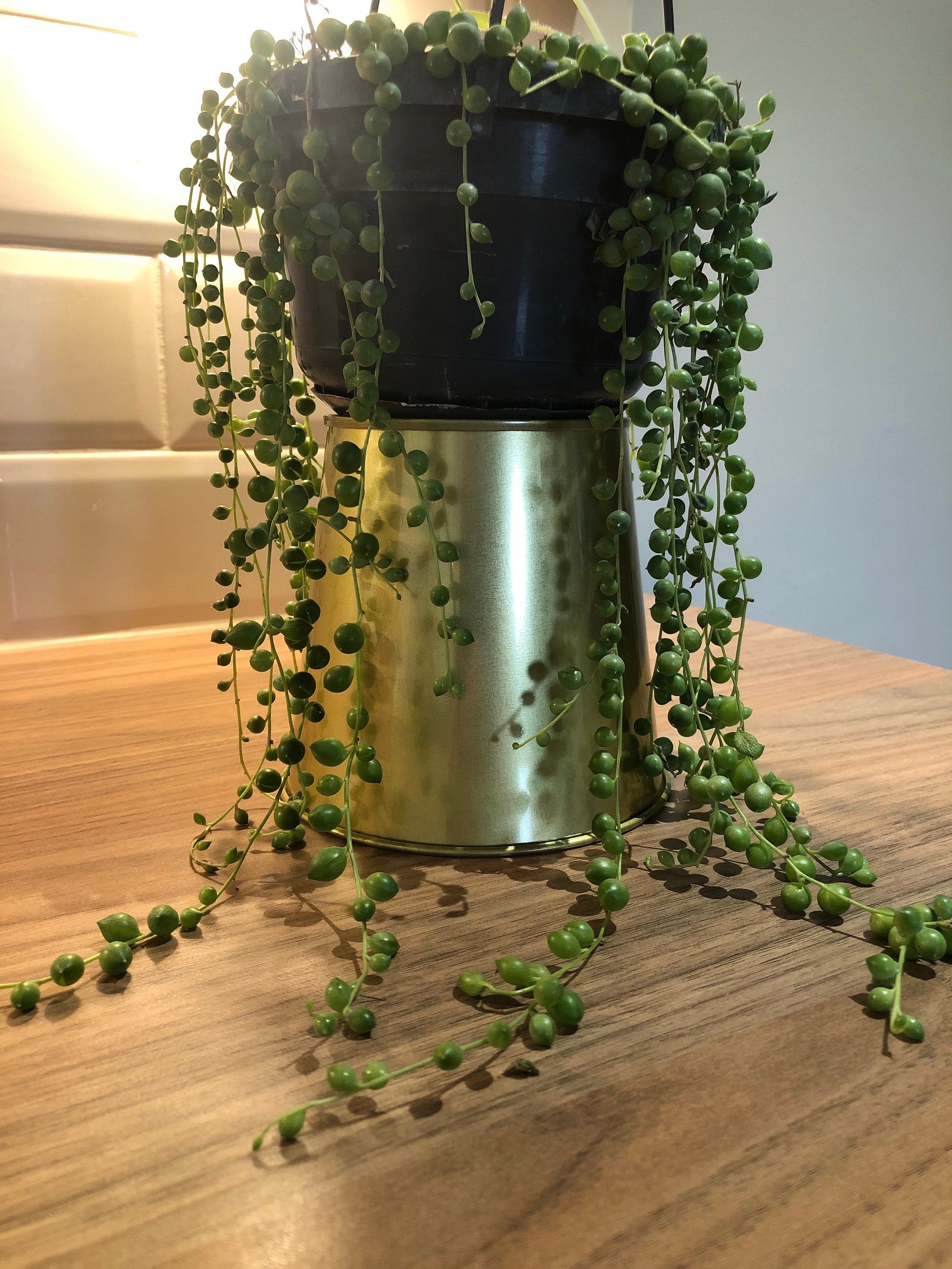 String Of Pearls Cutting Etsy