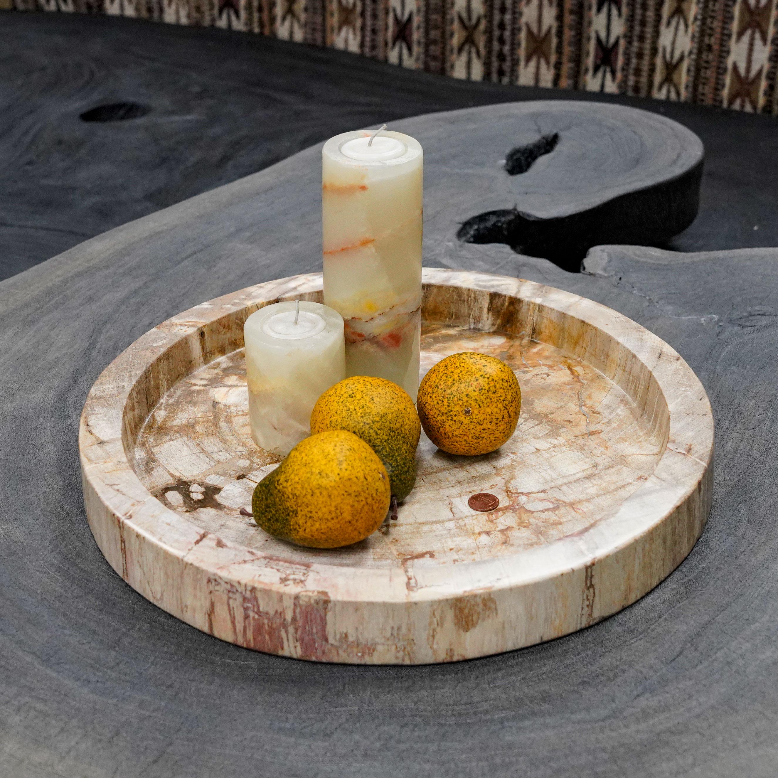 Vintage ＊ petrified wood tray Petrified Wood Tray | West Elm
