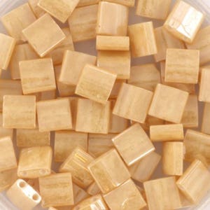Può includere: Una collezione di piccole perline quadrate color beige chiaro con un aspetto leggermente traslucido. Le perline hanno un sottile effetto marmorizzato e alcune hanno fori per l'infilatura. Queste perline sono adatte per progetti di creazione di gioielli e artigianato.