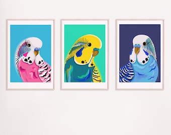 Budgie art prints set of 3 -  A3 digital download print - digital illustration set of 3 budgie art prints, pink blue and yellow budgies