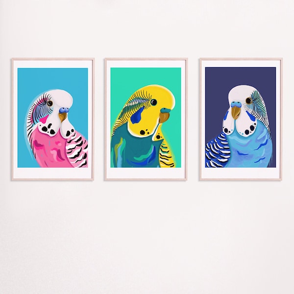 Budgie art prints set of 3 -  A3 digital download print - digital illustration set of 3 budgie art prints, pink blue and yellow budgies