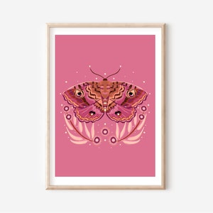 Granny's cloak moth  A4 / A3 digital download print, pink, moth, insects, bugs, nature, botanical digital illustration art print