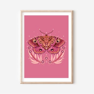 Pink Granny's Cloak Moth Print: Botanical Illustration (Digital Download)
