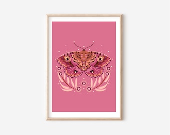 Pink Granny's Cloak Moth Print: Botanical Illustration (Digital Download)