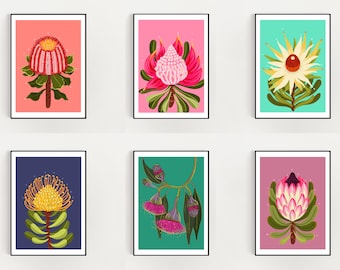 Australian Native flowers collection print set 6 -  A3 size  digital download print. 29.7cm x 42 cm size native flower art print collection