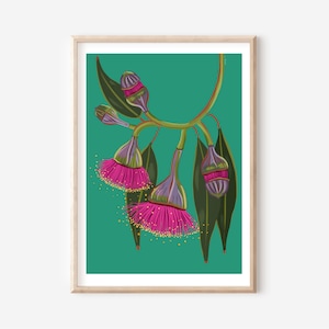 Australian native flower, Gum blossom art print  a4 /A3  digital download print - Flowering gum blossom digital illustration print A3 / A4