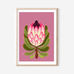 Australian native flower, Protea art print  a4 /A3  digital download print - Protea flower digital illustration art print A3 / A4