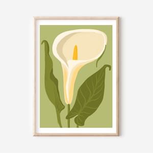 Calla Lily flower art print, flower illustration, floral home decor, calla lily poster, flower wall art