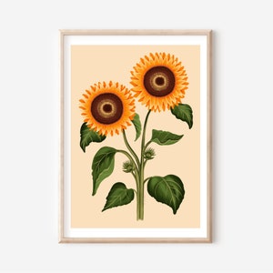 Sonnenblume im Vintage-Stil Kunstdruck A4 /A3 digitaler Download Druck - schöne gelbe Sonnenblume Kunstdruck
