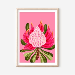 Australian native flower, pink Waratah  art print  a4 /A3  digital download print - flower digital illustration art print A3 / A4