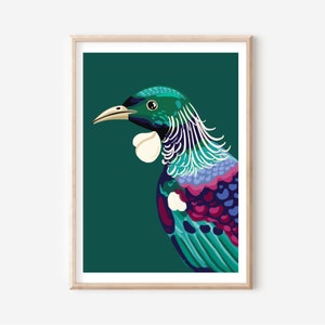 New Zealand Tui bird, A4 /A3 digital illustrated print, Wildlife, nature, bird wall art print