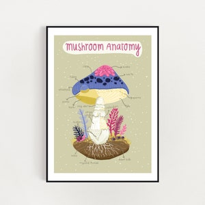 Mushroom Anatomy Art print.  Cartel infográfico de setas. A4 / A3 descarga digital impresa - ilustración digital arte impreso