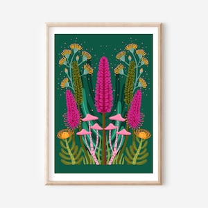 Australiana botanical art print, plants, flowers, gum blossoms, Native Australian floral illustrated prints