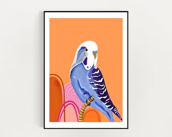 Blue Budgie art print with peach background, digital illustration art print. So Peachy So Chic Budgie A3 / A4 digital download print