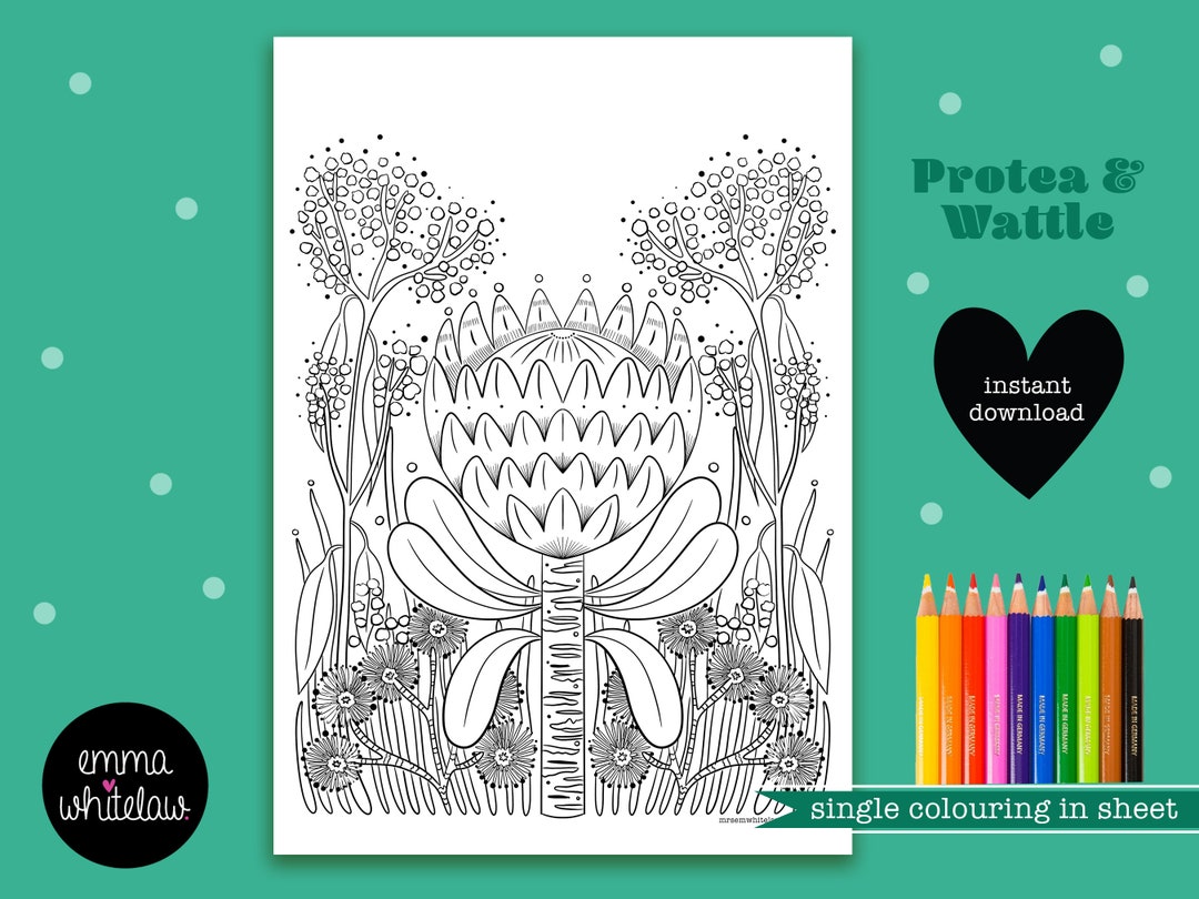 Printable Colouring in Page, Australian Flowers, Colouring in Pages for ...