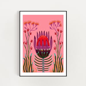 Australian native King Protea art print  a4 /A3  digital download print - protea flora digital illustration art print A3 / A4