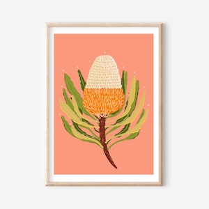 Australian native flower, Acorn banksia art print  a4 /A3  digital download print - native flowers, wildflowers of Australia wall decor