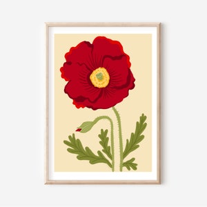 Red poppy illustration, Red art, Red flower print, poppy flower print, botanical illustration, poppy poster, poppy wall art
