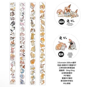 NUEVO - Ding Ding A34 Bunny Rabbits - PET mate troquelado - 3,5 cm