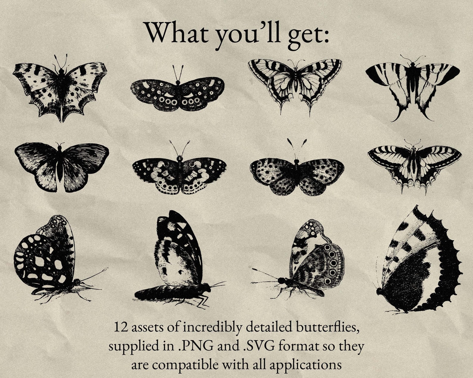 Illustrated Butterflies Pack - Etsy