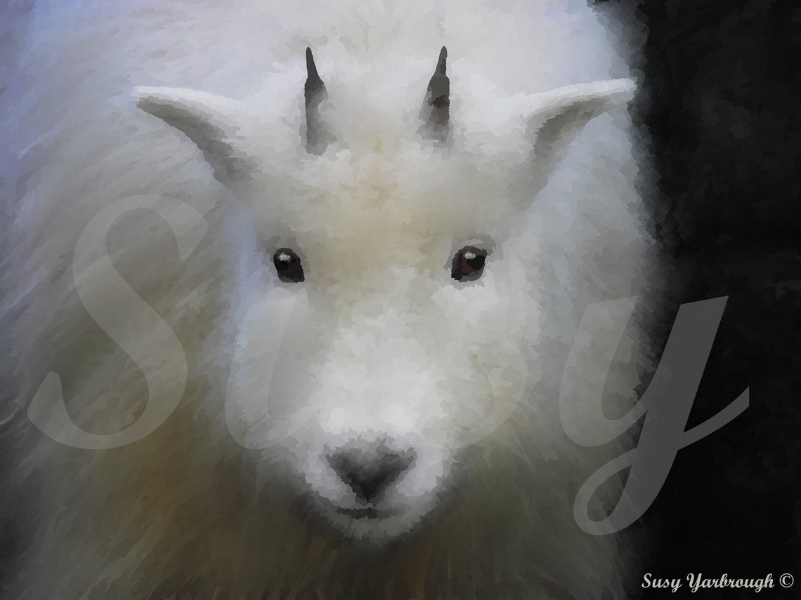 Mountain Goat Kid Digital Chalk Pastel Download | Etsy