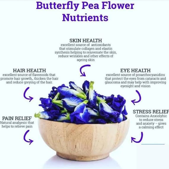 Butterfly Pea Flower Spiritual Benefits Daily Spiritual Guide