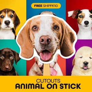 Abanicos de caras de mascotas, cara personalizada en un palo para recuerdos personalizados de mascotas