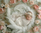 Digital Backdrops newborn Feather with flowers, Newborn Baby Composite, Photo Background, Photoshop overlays, Digital Background