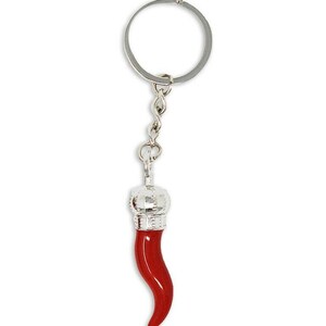 Italian Enameled Steel Cornetto Keychain Lucky Amulet Evil Eye Malocchio chant translation in English plus horse shoe gift