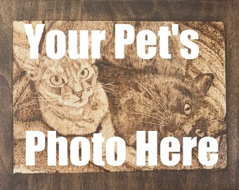 Pet Portraits -Custom/Personalized Wood Burning Pyrography