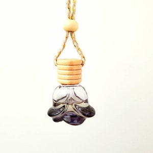 Scent Diffuser. Elegant Rose Glass Bottle Scent Car Diffuser. Small Space Diffuser Air Freshener. Luxury Mini Reed Diffuser. Office Gift