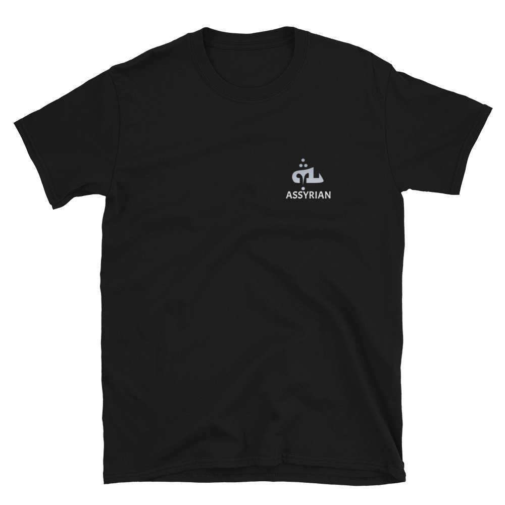 Flag Of The Assyrians (No Assur) T-Shirt - 100% Cotton, Oversized Drop-Shoulder Unisex Tee