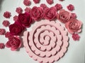 Pre-Cut Rolled Paper Flower Kit – DIY Shadow Box Craft
