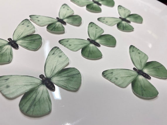 Farfalle in wafer commestibile pretagliate in verde salvia 12/18/24 farfalle  Torta commestibile / decorazioni -  Italia