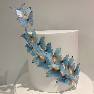Gaufrettes comestibles prédécoupées papillons bleus et violets - 18/12/24 papillons - Gâteau comestible / décorations BF23