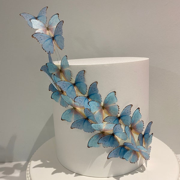 Wafer Paper Butterflies - Etsy