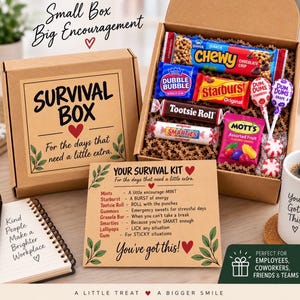 May include: A cardboard gift box filled with assorted snacks including a Quaker Chewy granola bar, Dubble Bubble gum, Starburst, Tootsie Roll, Smarties, Mott's fruit snacks, and two lollipops. Includes a card labeled Your Survival Kit.