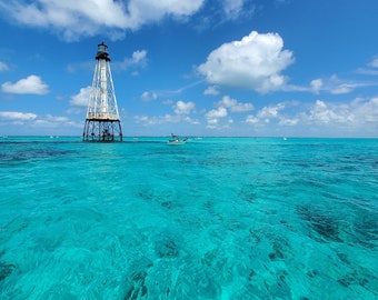 Afternoon at Alligator - fine art print