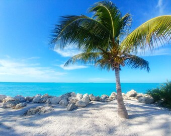 That Floridalust Feelin - Fine Art Print (Giclée)