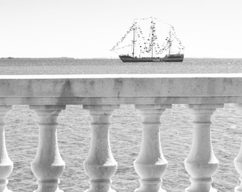 Bayshore Boulevard - Fine Art Print (Giclée) - Gasparilla Collection