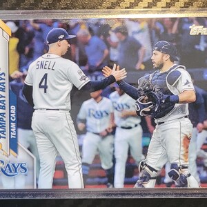Tampa Bay Rays 2020 Topps Baseball Team Card Fridge Magnet