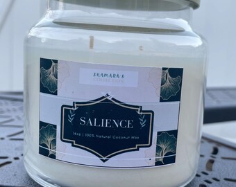 Salience 16オンス ココナッツワックスキャンドル、ベチバーアンバーの香り、セクシー