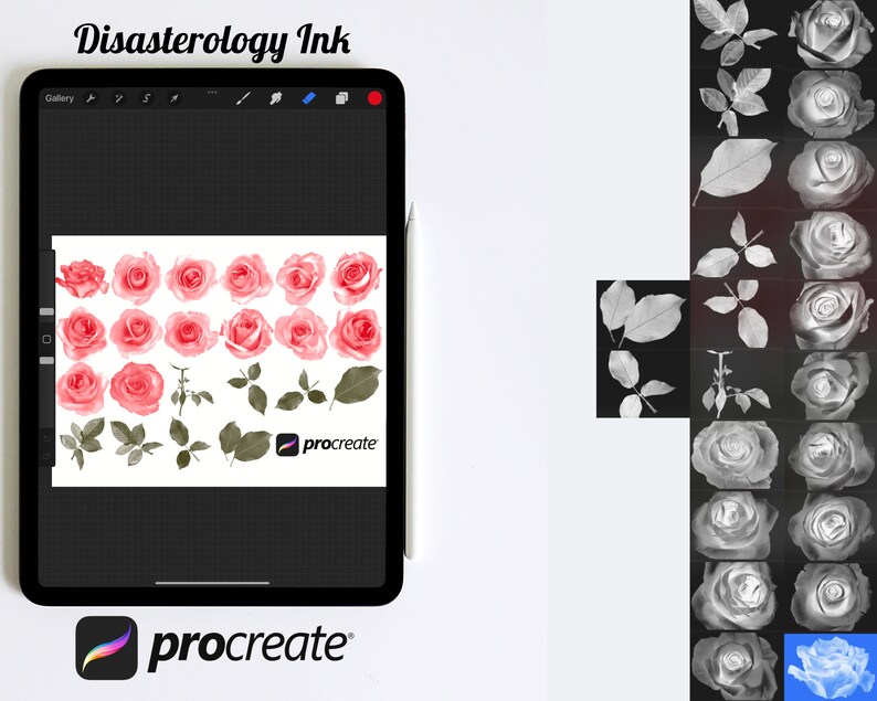 Floral Roses Flower Procreate Brush Stamps Set 2, 29 Roses Stamps - Etsy
