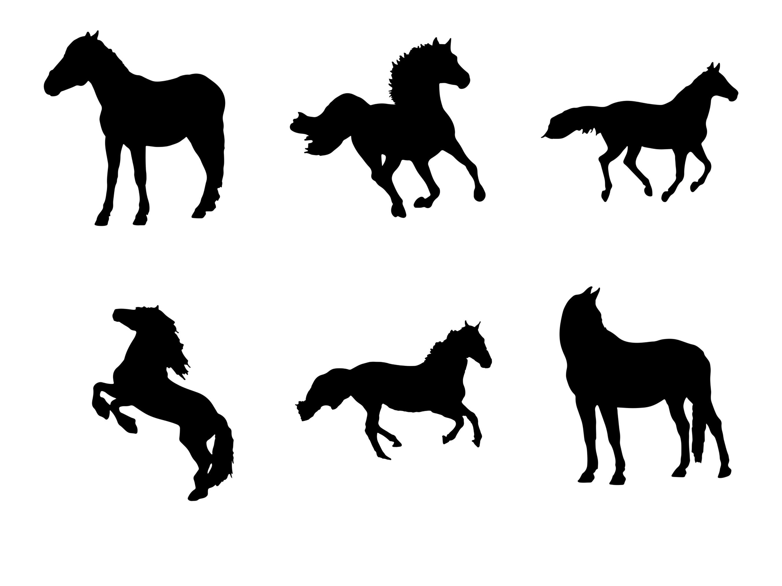 Horse Silhouette Set 1 Procreate Brush Stamps 29 Horses Etsy