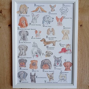 Razas de perros de la A a la Z / Impresión ilustrada / Impresión de perro / Razas de perros / Impresión de guardería / Sala de juegos / Impresión para niños / Amantes de los perros / Impresiones para él / ella