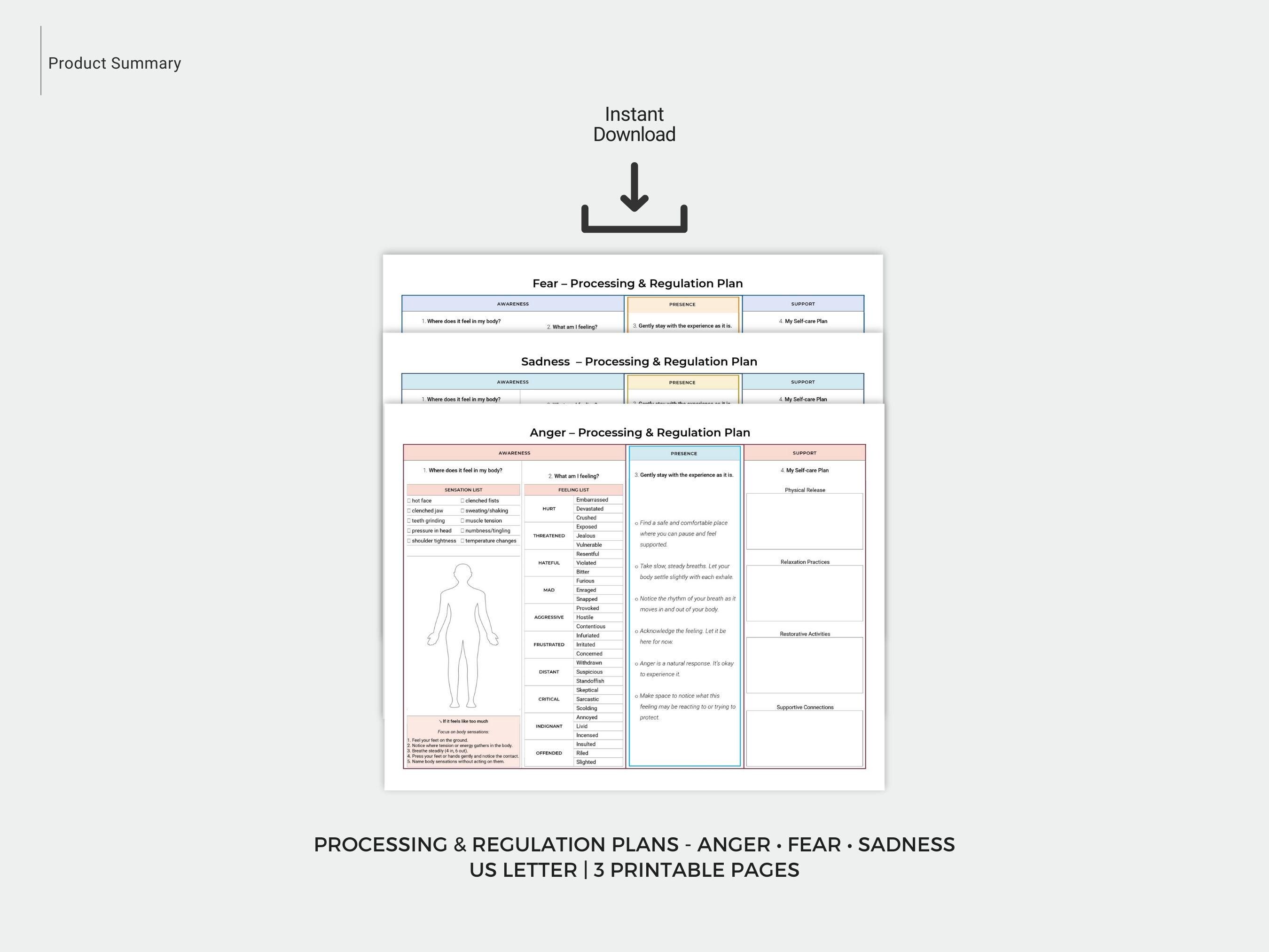 Emotion Regulation Plan, Feelings Processing Guide, Emotional Literacy ...
